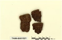 藏品(狹網真苔)的圖片